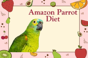 Amazon Parrot Diet: Foods, Tips, and Key Nutrition for Your Parrot