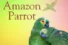 Amazon Parrot: Complete Guide to Intelligent & Colorful Bird
