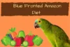 Blue Fronted Amazon Diet for Happy & Healthy Bird - Post Thumbnail