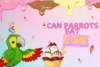 Can Parrots Eat Ice Cream? The Ultimate Guide - Post Thumbnail