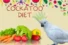 Cockatoo Diet: Nutrition Guide for Healthy Parrot 
