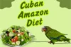 Cuban Amazon Diet- Keep Your Parrot Happy and Healthy - Post Thumbnail