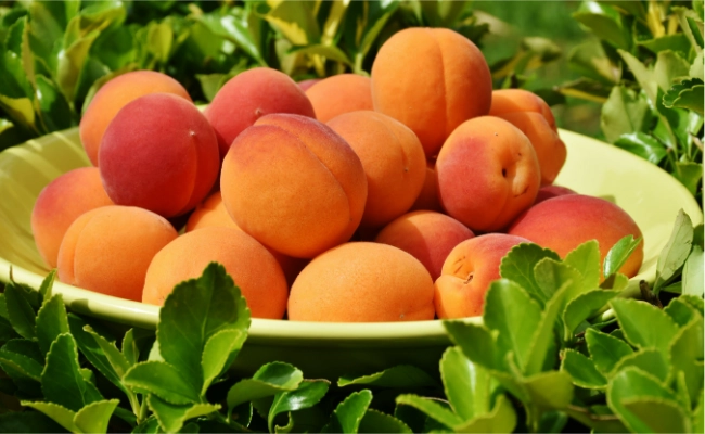 Peach Peach