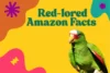 Red-Lored Amazon Facts - Post Thumbnail