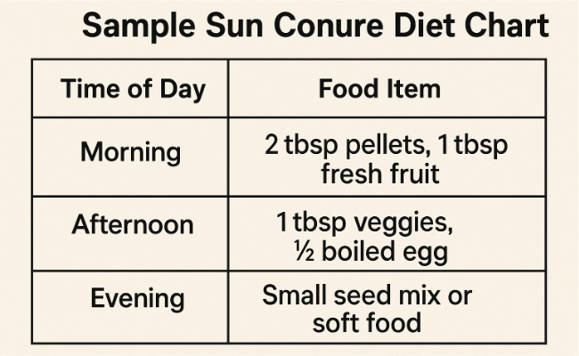 Sun Conure Diet Chart Sun Conure Diet Chart