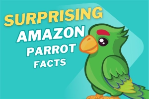  Amazon Parrot Facts That’ll Steal Your Heart Instantly