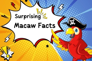 Macaw Facts: All About These Big, Bright, and Brilliant Birds