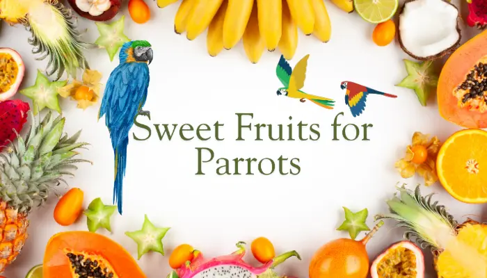 Sweet Fruits For Parrots Sweet Fruits For Parrots