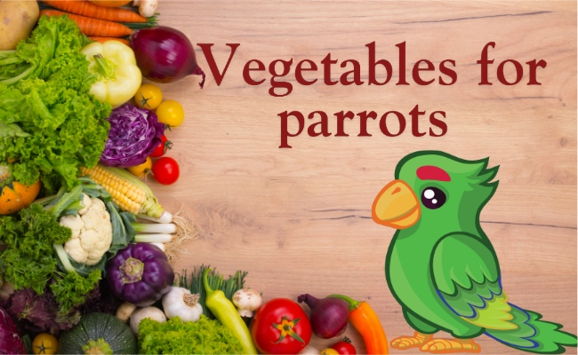 Vegetables For Parrots Post Image Vegetables For Parrots