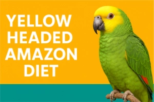 Healthy Yellow Headed Amazon Diet Every Owner Needs